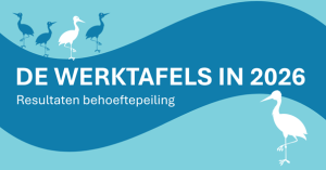 Miniatuurafbeelding